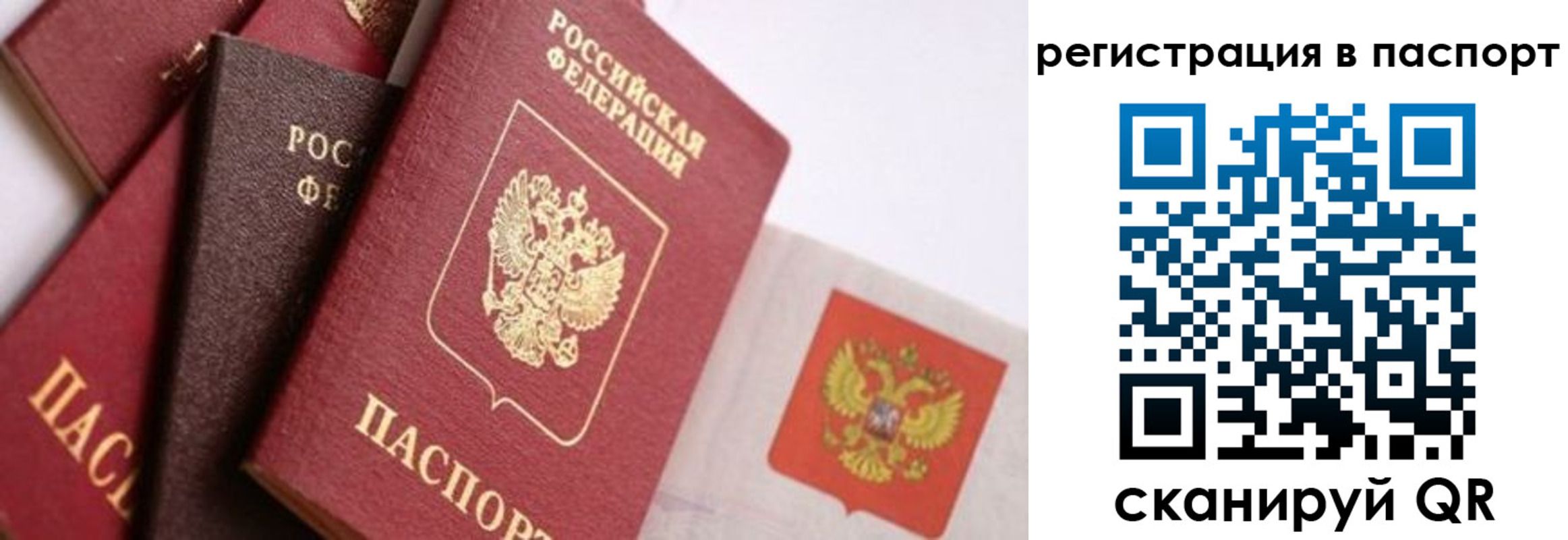 прописка в квартире в Липецкая области